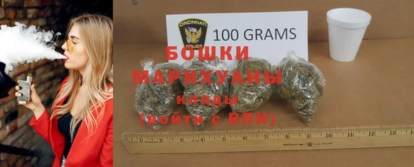мдпв Гусь-Хрустальный