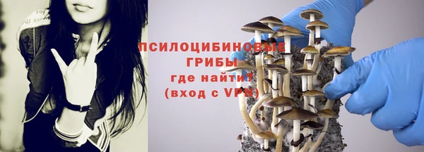мдпв Гусь-Хрустальный
