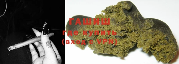 шишки Горняк