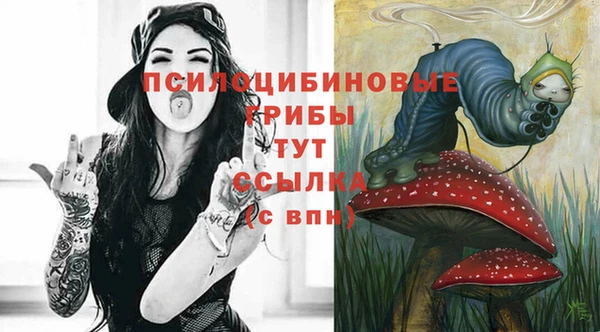 эйфоретик Гусиноозёрск
