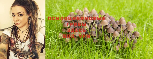 каннабис Гусев