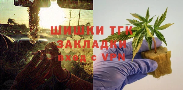 мдпв Гусь-Хрустальный