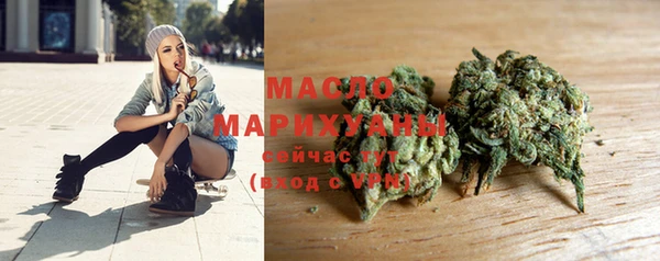 мдпв Гусь-Хрустальный