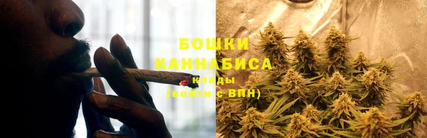 мдпв Гусь-Хрустальный